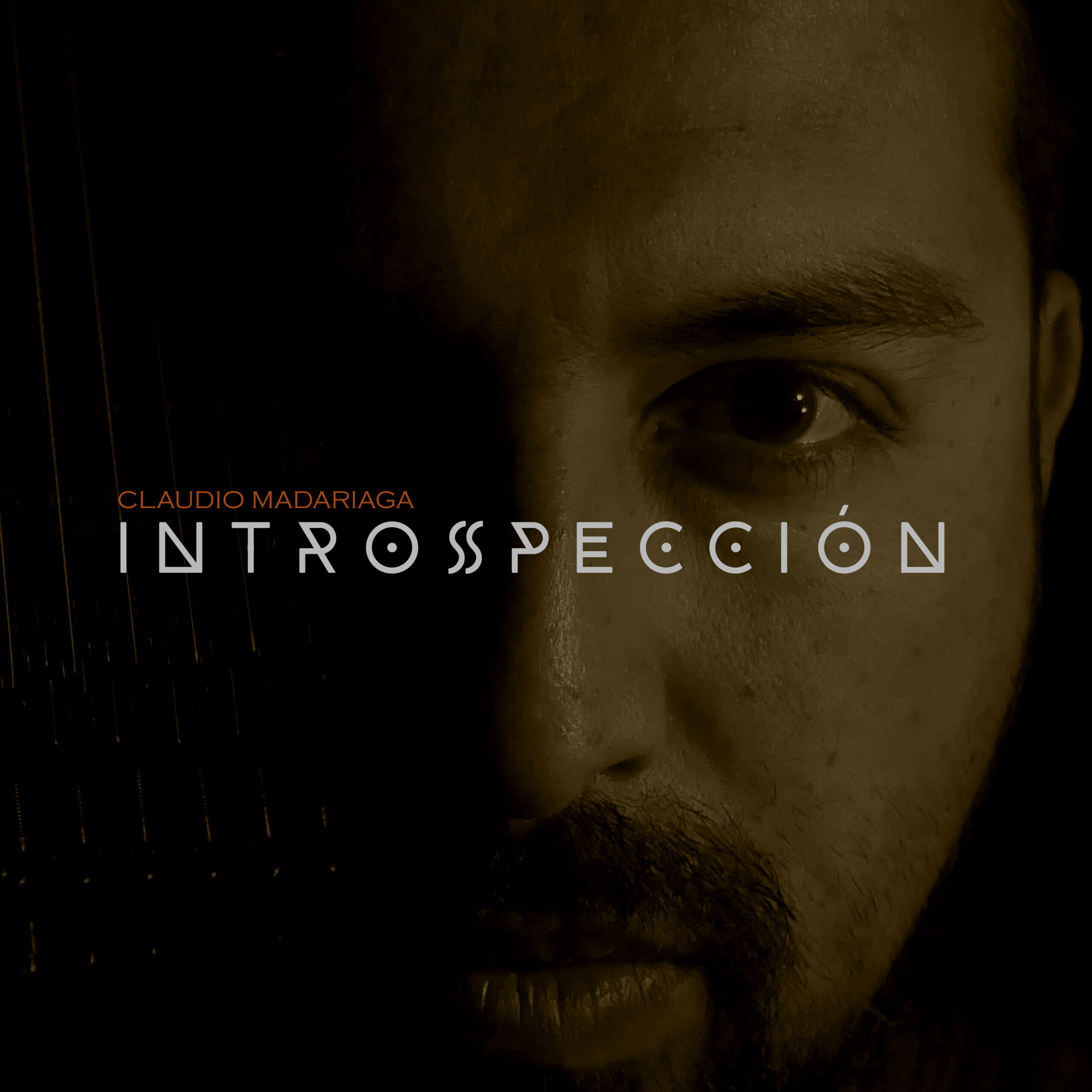 Claudio Madariaga y Cuarteto Raíz remueven el Wallmapu con su nuevo disco “Introspección”
